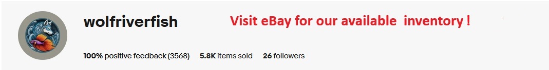 Wolf River Fish eBay Store